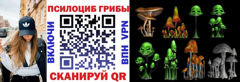 Галлюциногенные грибы Psilocybe  hydra зеркало  Новоаннинский 
